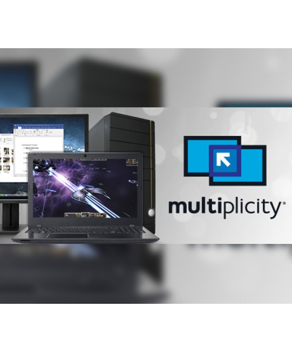Multiplicity Steam Key GLOBAL